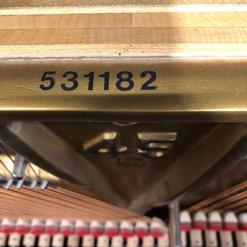 ___Steinway1098_Serial.4813560151728349574