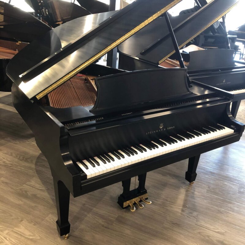 ___SteinwayM562504_Base.3300943498146577508