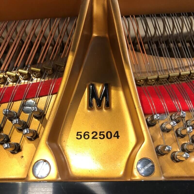 SteinwayM562504_Serial