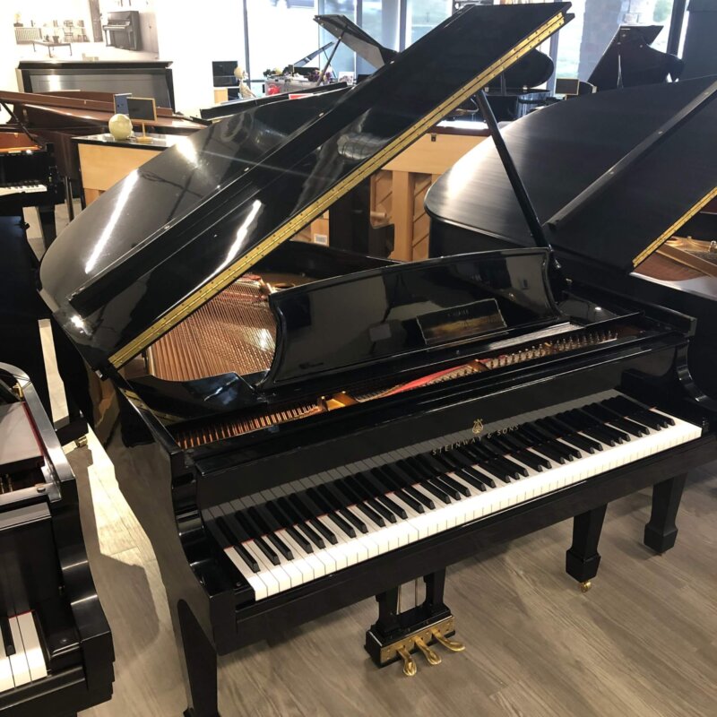 Steinway566215_Base