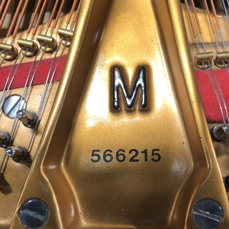 Steinway566215_Serial