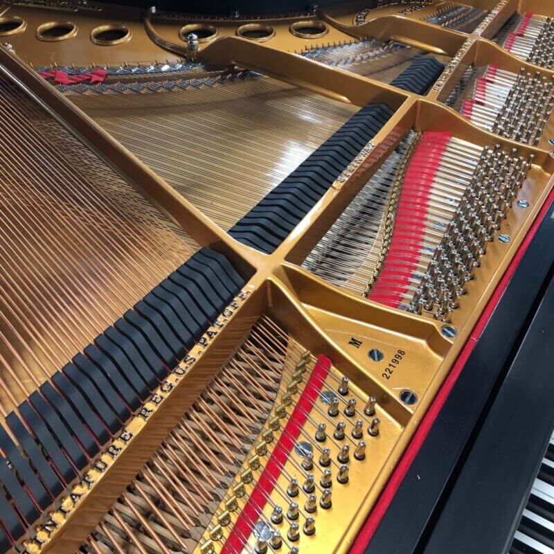 Steinway221998_Serial-scaled